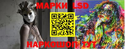 стафф Камышлов