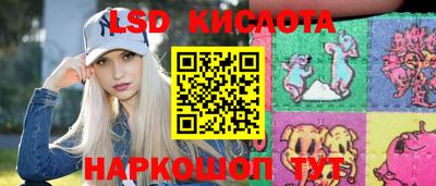 стафф Камышлов