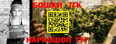 стафф Камышлов