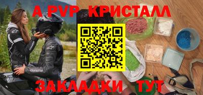 скорость Кингисепп