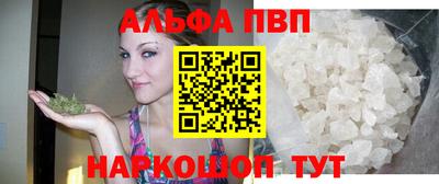 стафф Камышлов