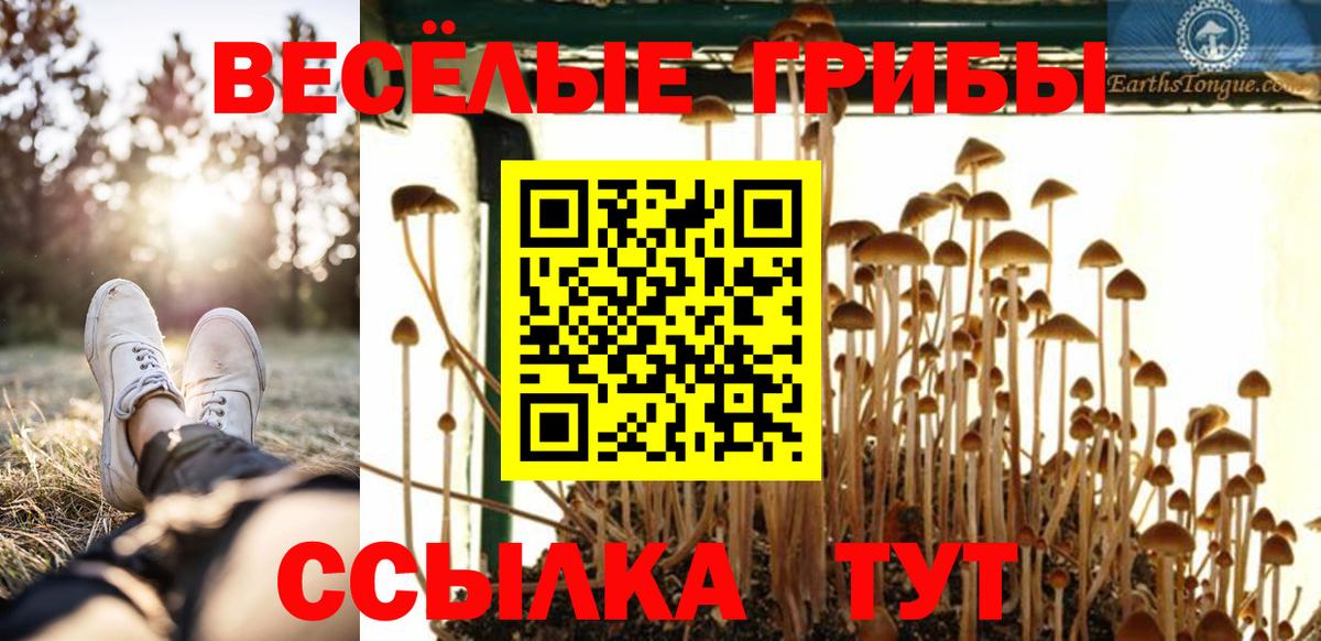Псилоцибиновые грибы прущие грибы  где продают наркотики  Каменск-Шахтинский  Вход с VPN  Псилоцибиновые грибы Magic Shrooms 
