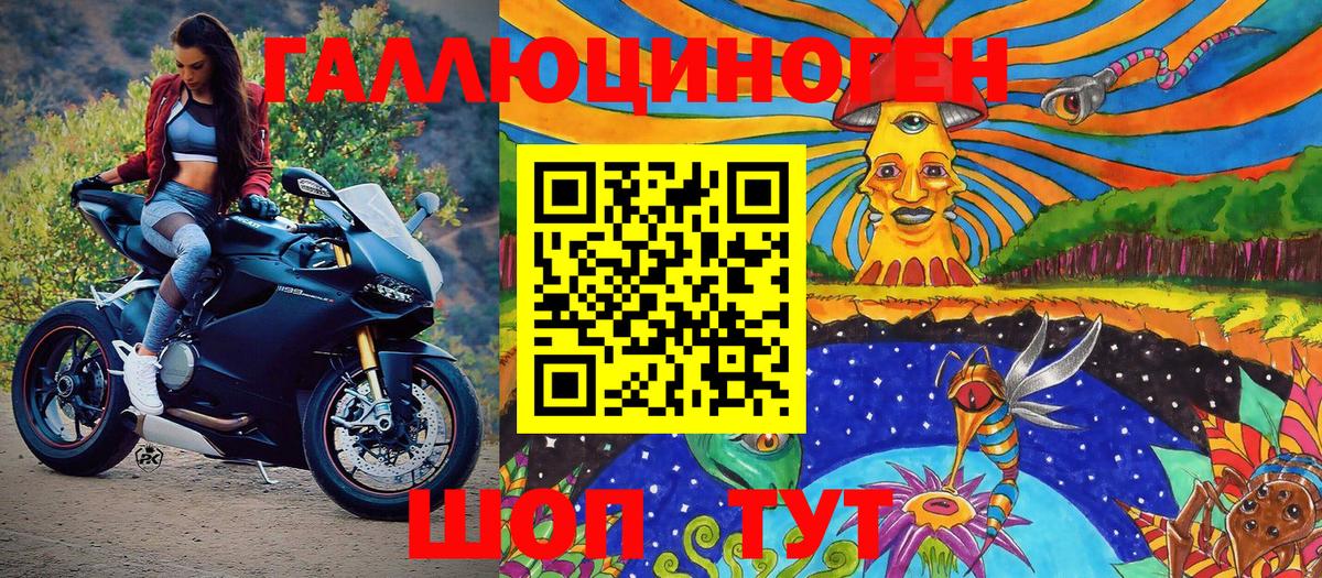 Галлюциногенные грибы Psilocybine cubensis Каменск-Шахтинский
